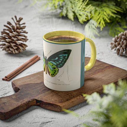 Green Birdwing by Charles Dessalines D' Orbigny Colorful Mugs, 11oz