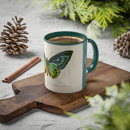 Green Birdwing by Charles Dessalines D' Orbigny Colorful Mugs, 11oz