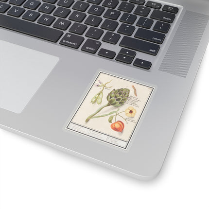 Artichoke, Cynara scolymus, broad beans, Vicia faba and lampion plant, Physalis by Anselmus Boëtius de Boodt Kiss-Cut Stickers (4 Sizes)