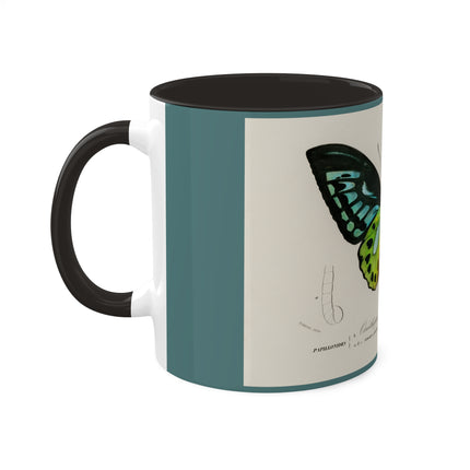 Green Birdwing by Charles Dessalines D' Orbigny Colorful Mugs, 11oz