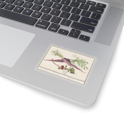 Carrot, Daucus carota and red currant, Ribes rubrum by Anselmus Boëtius de Boodt Kiss-Cut Stickers (4 Sizes)