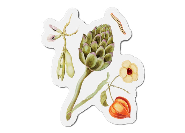 Artichoke, Broad Beans, and Lantern Plant by Anselmus Boëtius de Boodt Die-Cut Magnets (5 Sizes)