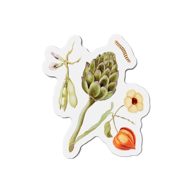 Artichoke, Broad Beans, and Lantern Plant by Anselmus Boëtius de Boodt Die-Cut Magnets (5 Sizes)
