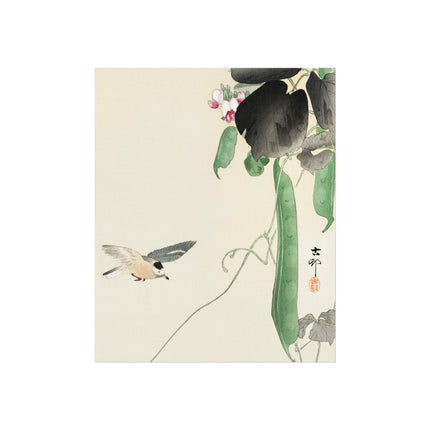 Bird at Flowering Bean Plant by Ohara Koson Fine Art Posters