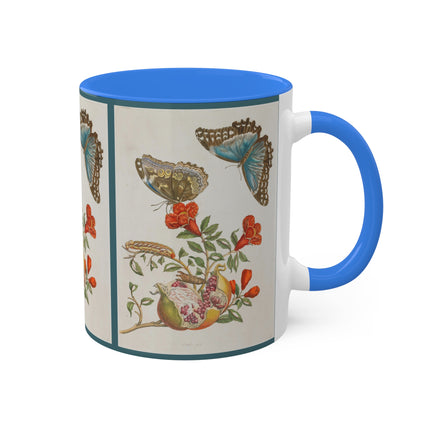 Blue Butterflies and Pomegranate by Maria Sibylla Merian Colorful Mugs, 11oz