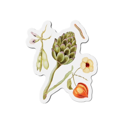 Artichoke, Broad Beans, and Lantern Plant by Anselmus Boëtius de Boodt Die-Cut Magnets (5 Sizes)
