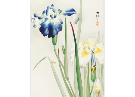 Irises by Ohara Koson Matte Canvas, Stretched, 0.75"