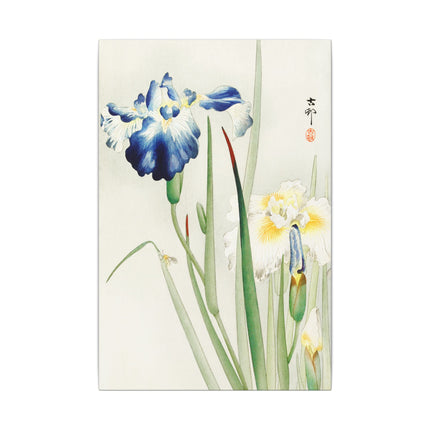 Irises in Bloom by Ohara Koson – Japanese Elegance