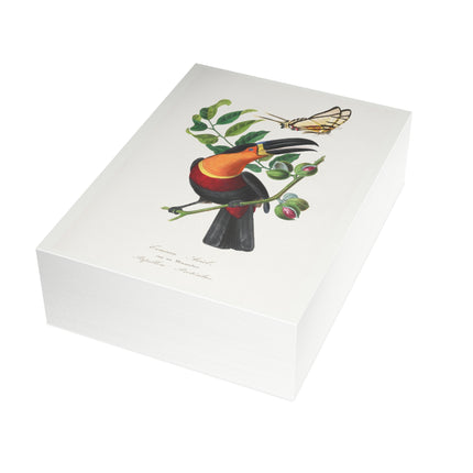 Channel Billed Toucan by Paul Gervais Postcards (envelopes included) - Bundles of 10, 30, 50 Pieces