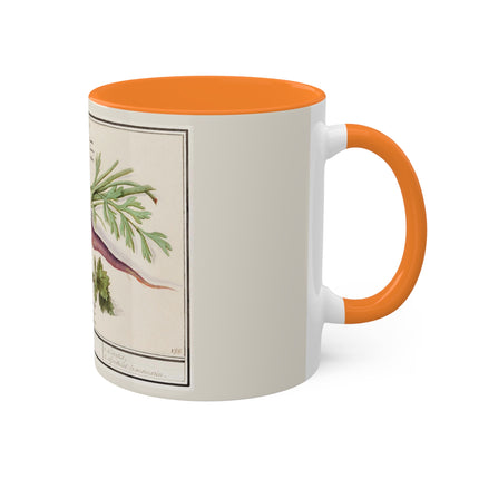 Carrot, Daucus Carota and Red currant, Ribes rubrum by Anselmus Boëtius de Boodt Colorful Mugs, 11oz