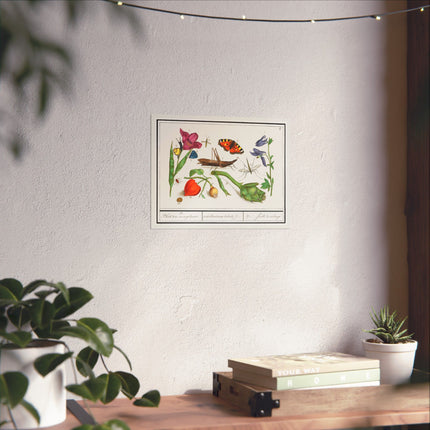 Natural History Ensemble, No. 17 by Anselmus Boëtius de Boodt Matte Horizontal Posters