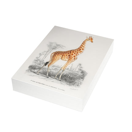 Giraffe by Charles Dessalines D'Orbigny Postcards (envelopes included) - Bundles of 10, 30, 50 Pieces