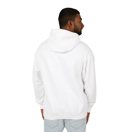 The Dragon Fairy's Dance Hoodie