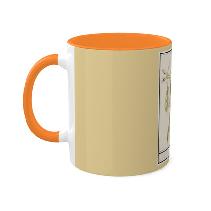 Artichoke, Broad Beans, and Lantern Plant by Anselmus Boëtius de Boodt Colorful Mugs, 11oz