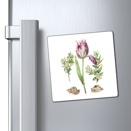 Tulip, Branches of Myrtle, and Shells by Maria Sibylla Merian Magnets (3 Sizes)