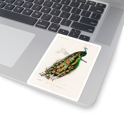 Indian Peafowl by Charles Dessalines D' Orbigny Kiss-Cut Stickers (4 Sizes)