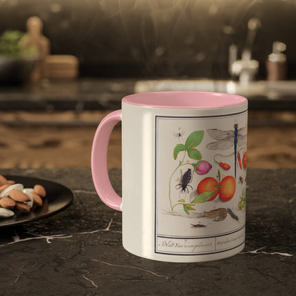 Natural History Ensemble, No. 7 by Anselmus Boëtius de Boodt Colorful Mugs, 11oz