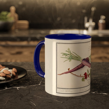 Carrot, Daucus Carota and Red currant, Ribes rubrum by Anselmus Boëtius de Boodt Colorful Mugs, 11oz