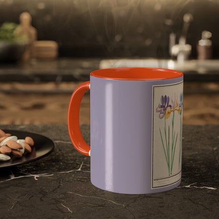 Iris, Iris sibirica by Anselmus Boëtius de Boodt Colorful Mugs, 11oz