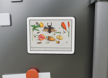 Natural History Ensemble, No. 1 Die-Cut Magnets (5 Sizes)