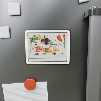 Natural History Ensemble, No. 1 Die-Cut Magnets (5 Sizes)