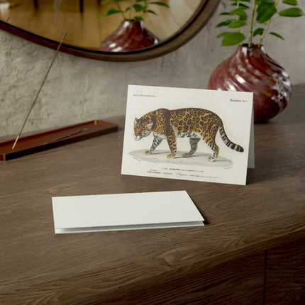 Jaguar by Charles Dessalines D' Orbigny Greeting Cards (1, 10, 30, and 50pcs)