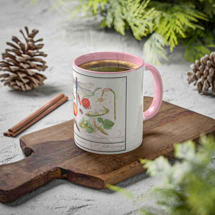 Natural History Ensemble, No. 7 by Anselmus Boëtius de Boodt Colorful Mugs, 11oz