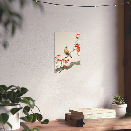 Japanese Plague Bird on Maple by Ohara Koson Fine Art Posters