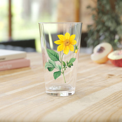 Dahlia Botanical Illustration by Pierre-Joseph Redouté Glass, 16oz