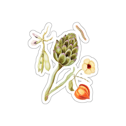 Artichoke, Cynara scolymus, broad beans, Vicia faba and lampion plant, Physalis by Anselmus Boëtius de Boodt Die-Cut Stickers (5 Sizes)