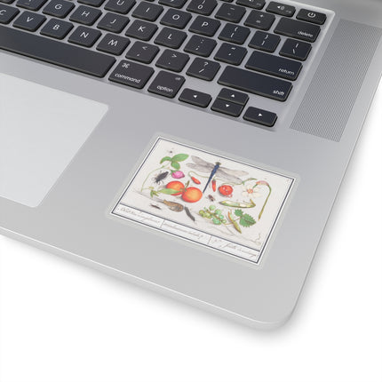 Natural History Ensemble, No. 7 by Anselmus Boëtius de Boodt Kiss-Cut Stickers (4 Sizes)