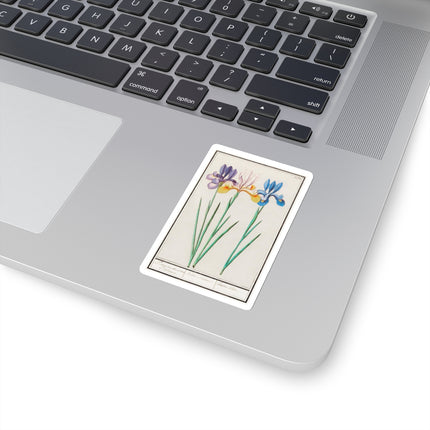 Iris, Iris sibirica by Anselmus Boëtius de Boodt Kiss-Cut Stickers (4 Sizes)
