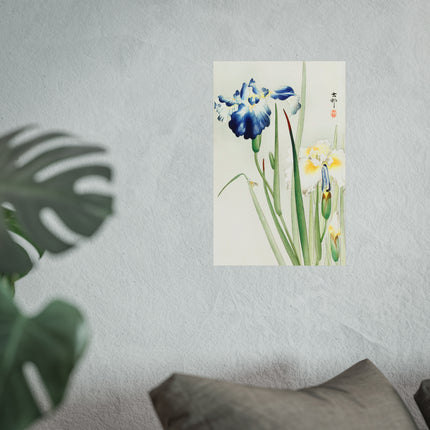 Irises by Ohara Koson Fine Art Posters