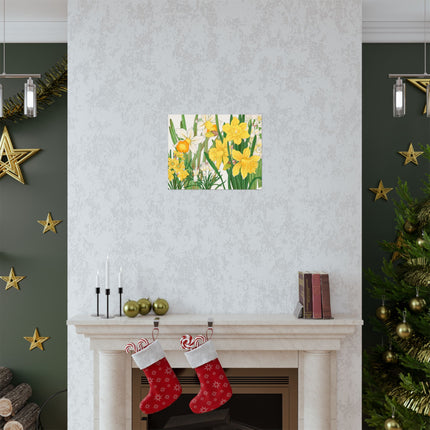Daffodil by Tanigami Kônan Premium Matte horizontal posters