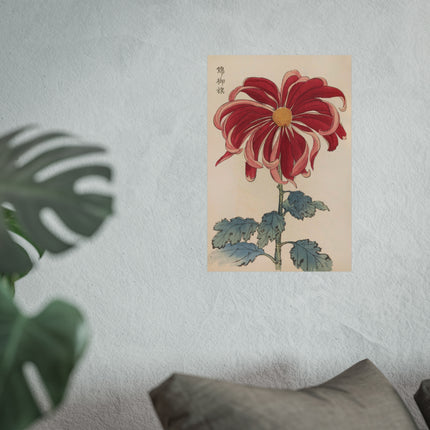 Chrysanthemum Elegance Fine Art Posters