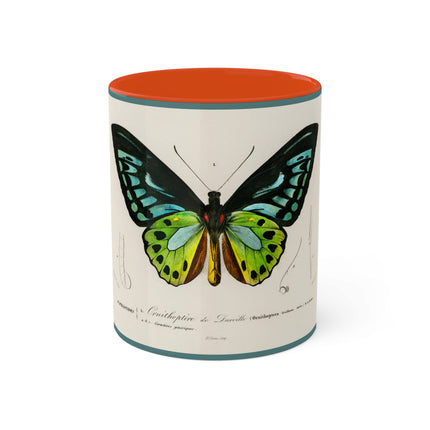 Green Birdwing by Charles Dessalines D' Orbigny Colorful Mugs, 11oz