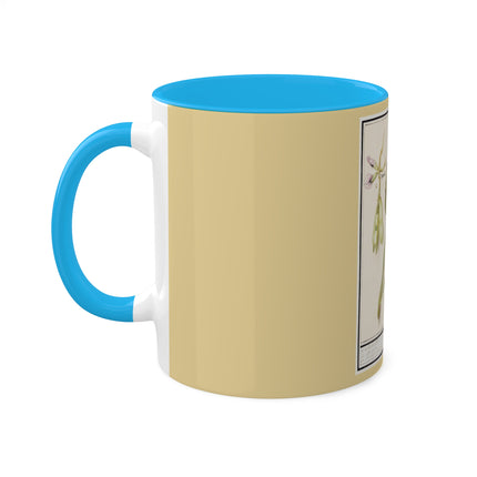 Artichoke, Broad Beans, and Lantern Plant by Anselmus Boëtius de Boodt Colorful Mugs, 11oz