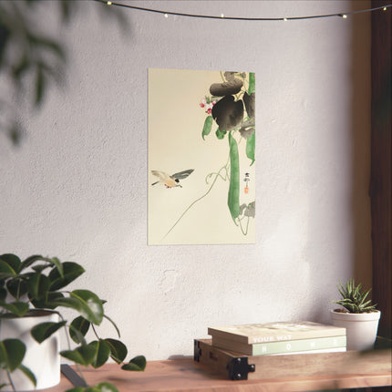 Bird at Flowering Bean Plant by Ohara Koson Fine Art Posters