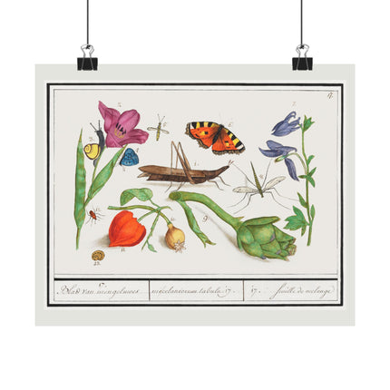 Natural History Ensemble, No. 17 by Anselmus Boëtius de Boodt Matte Horizontal Posters