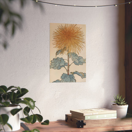 Chrysanthemum Harmony Fine Art Poster