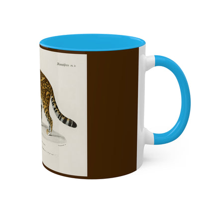 Jaguar by Charles Dessalines D' Orbigny Colorful Mugs, 11oz