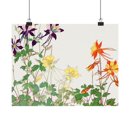 Aquilegia Flower by Tanigami Kônan Premium Matte horizontal posters