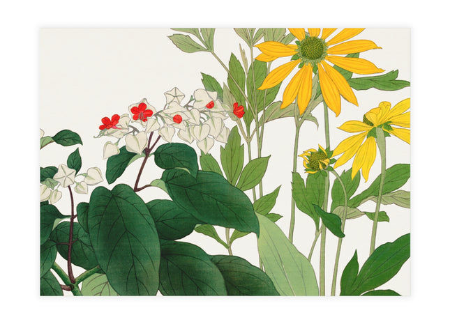 Clerodendrum & Rudbeckia by Tanigami Kônan Postcards (envelopes included) - Bundles of 10, 30, 50 Pieces