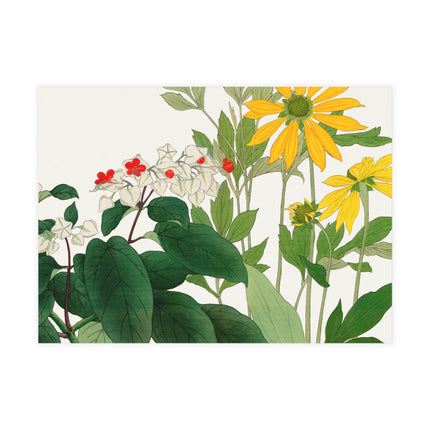 Clerodendrum & Rudbeckia by Tanigami Kônan Postcards (envelopes included) - Bundles of 10, 30, 50 Pieces