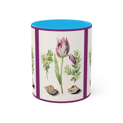 Tulip, Branches of Myrtle and Shells by Maria Sibylla Merian Colorful Mugs, 11oz