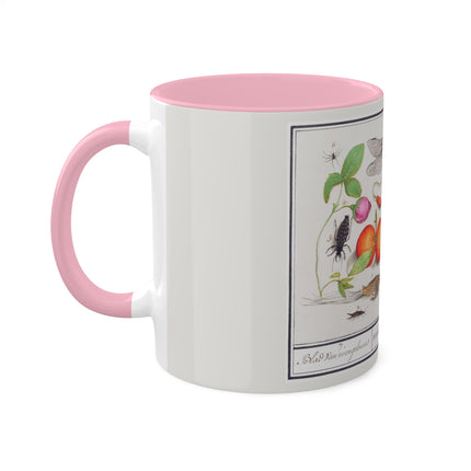 Natural History Ensemble, No. 7 by Anselmus Boëtius de Boodt Colorful Mugs, 11oz