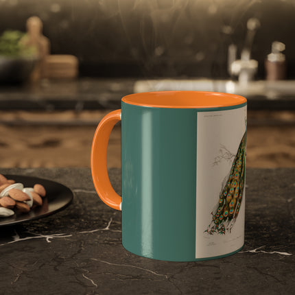 Indian Peafowl by Charles Dessalines D' Orbigny Colorful Mugs, 11oz