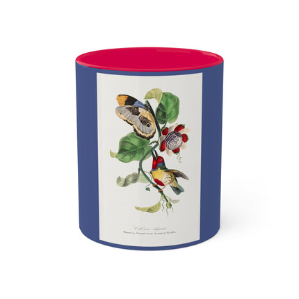 Versicolored Barbet by Paul Gervais Colorful Mugs, 11oz