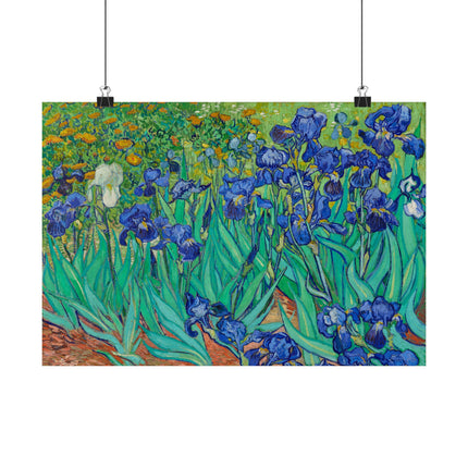 Irises by Vincent Van Gogh Matte Horizontal Posters