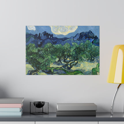 Olive Trees by Vincent Van Gogh Matte Canvas, Stretched, 0.75"